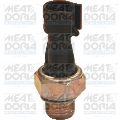 Oil Pressure Switch